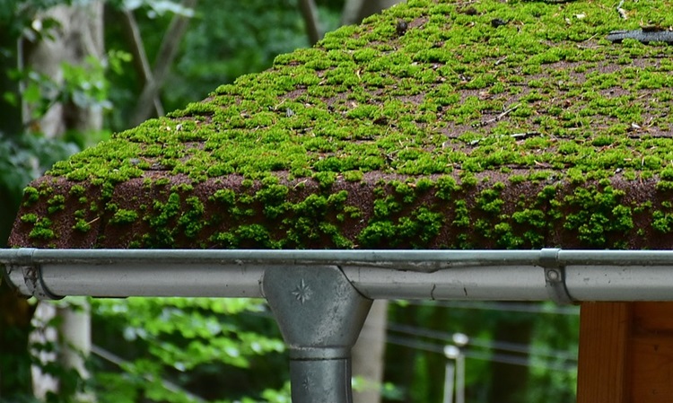 Alternativen zum Dachrinne löten sind Klammern, Klemmen und Nieten